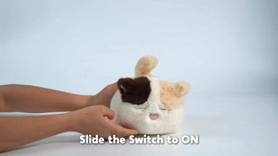 Meet Your Child's New Fluffy